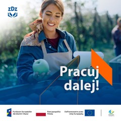 Zdjęcie artykułu Projekt "Pracuj dalej"